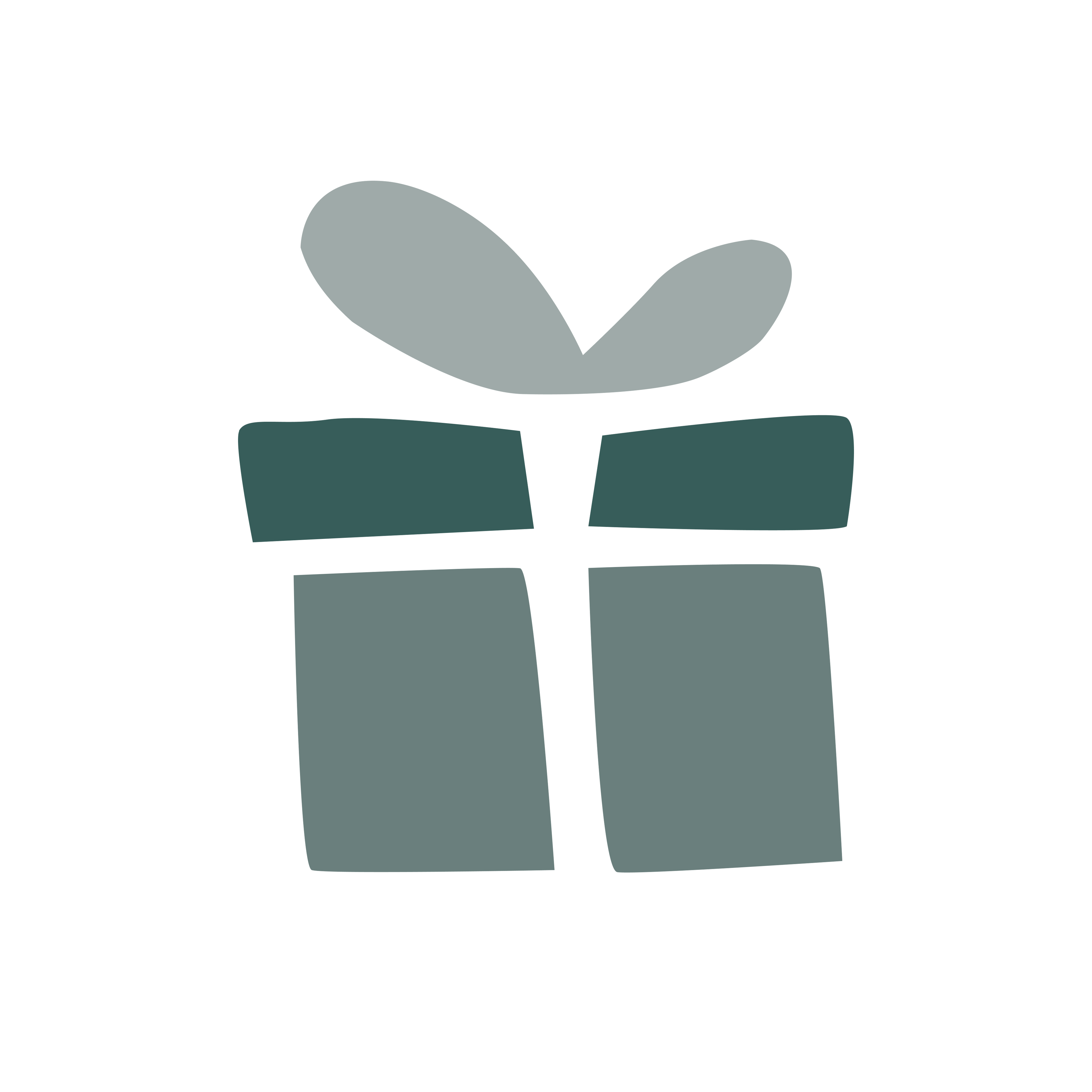 Send as a Gift