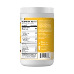 Replenisher Electrolyte Powder, Pina Colada