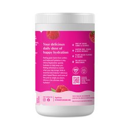 Replenisher Electrolyte Powder, Raspberry