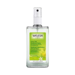 Spray Deodorant, Citrus