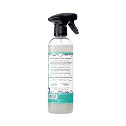 All-Purpose Cleaner, Sea Salt