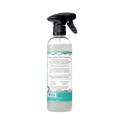 Zum, All-Purpose Cleaner, Sea Salt