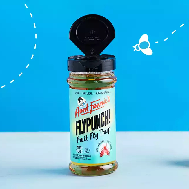 Fruit Fly Trap by Aunt Fannie's | Thrive Market