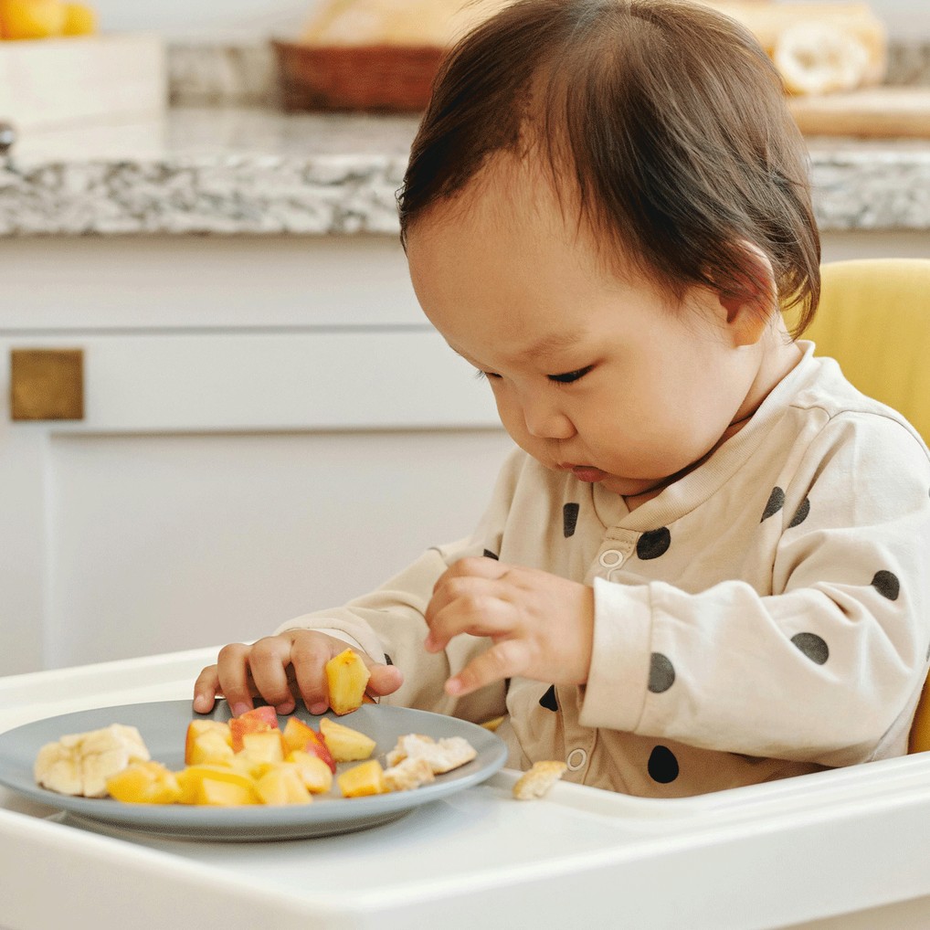 Soft-Baked Tractor Wheels, Strawberry, Pumpkin & Beet
