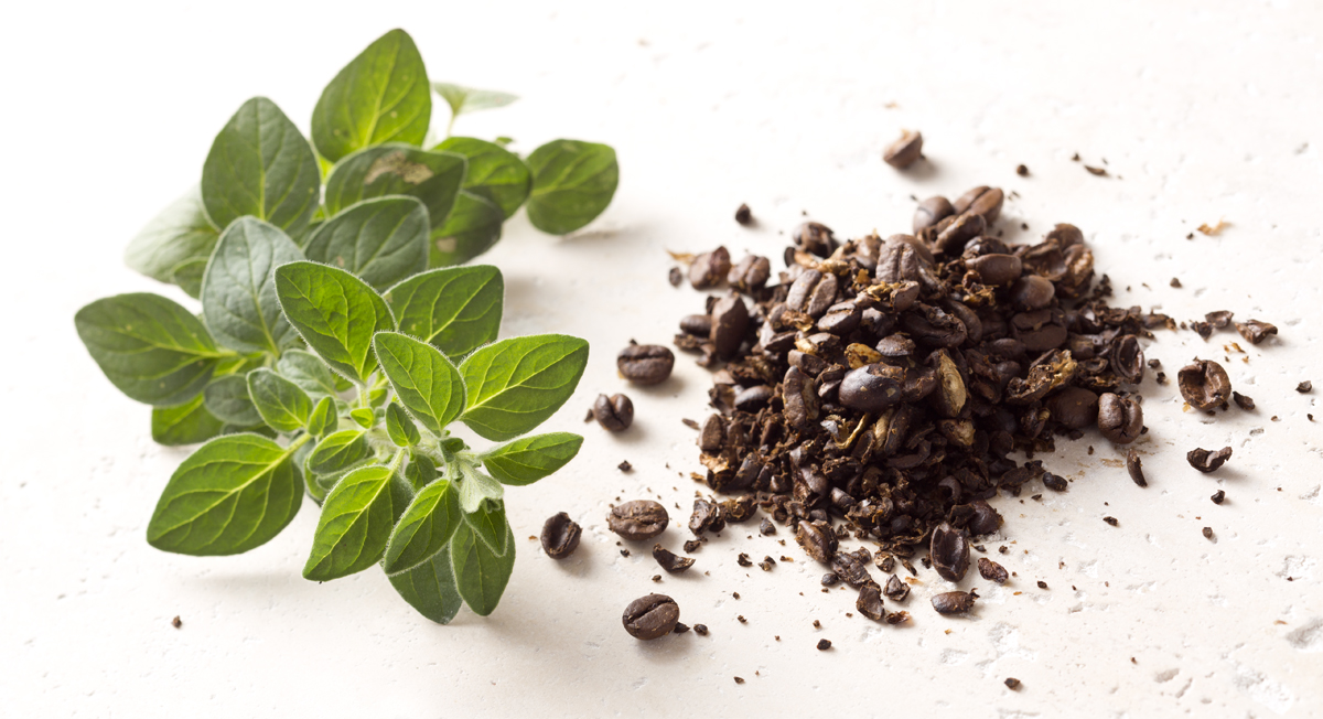 How To Use Coffee Grounds As Fertilizer Thrive Market