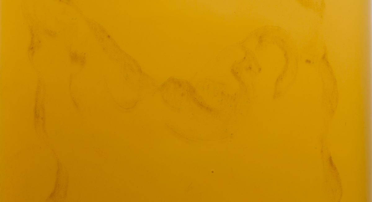 Benefits of Cooking With Sesame Seed Oil Thrive Market