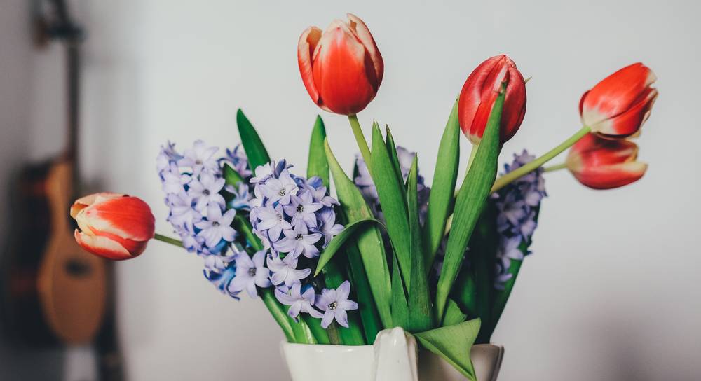 Thrive Market Employees Curate the Best Mother’s Day Gift Box