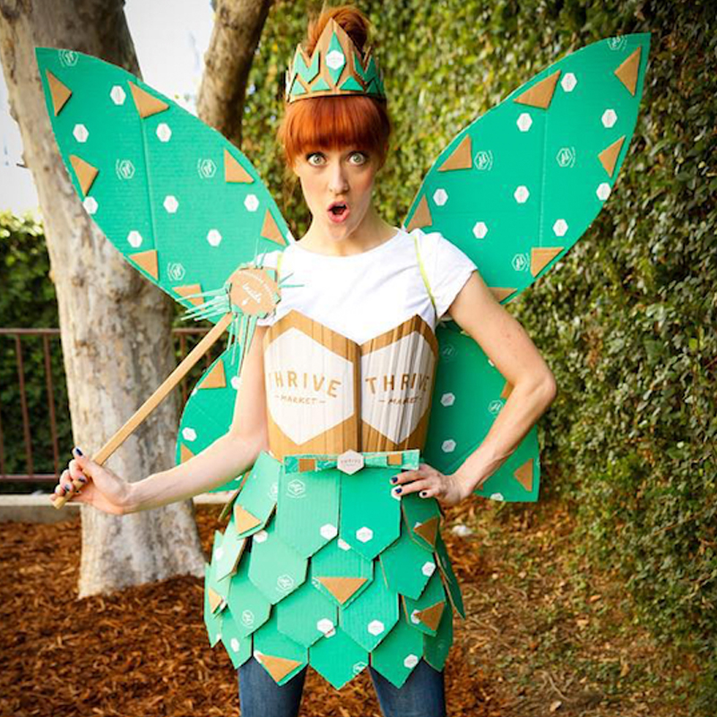 fairy costume