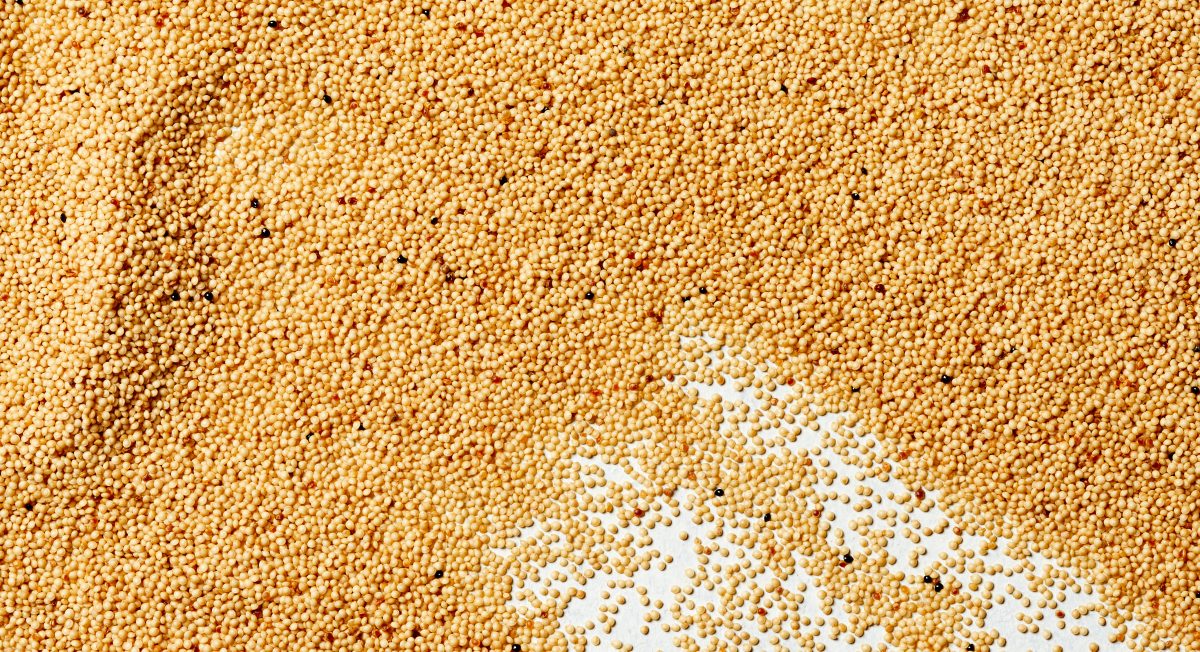 What's the Difference Between Millet vs Amaranth?