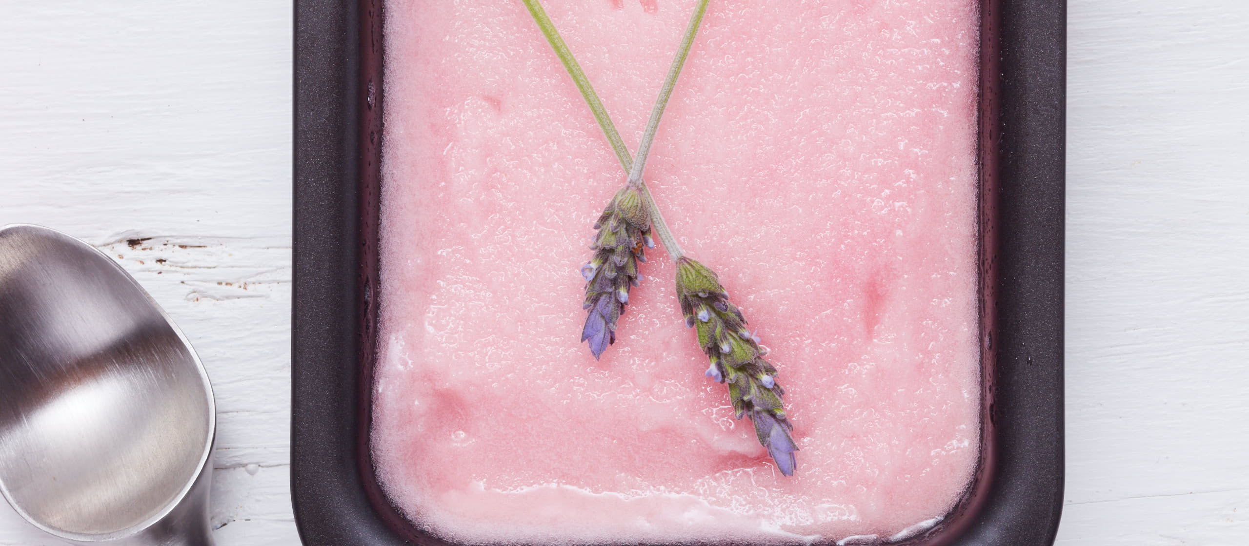 Boiron Sorbet Recipes Dandk Organizer