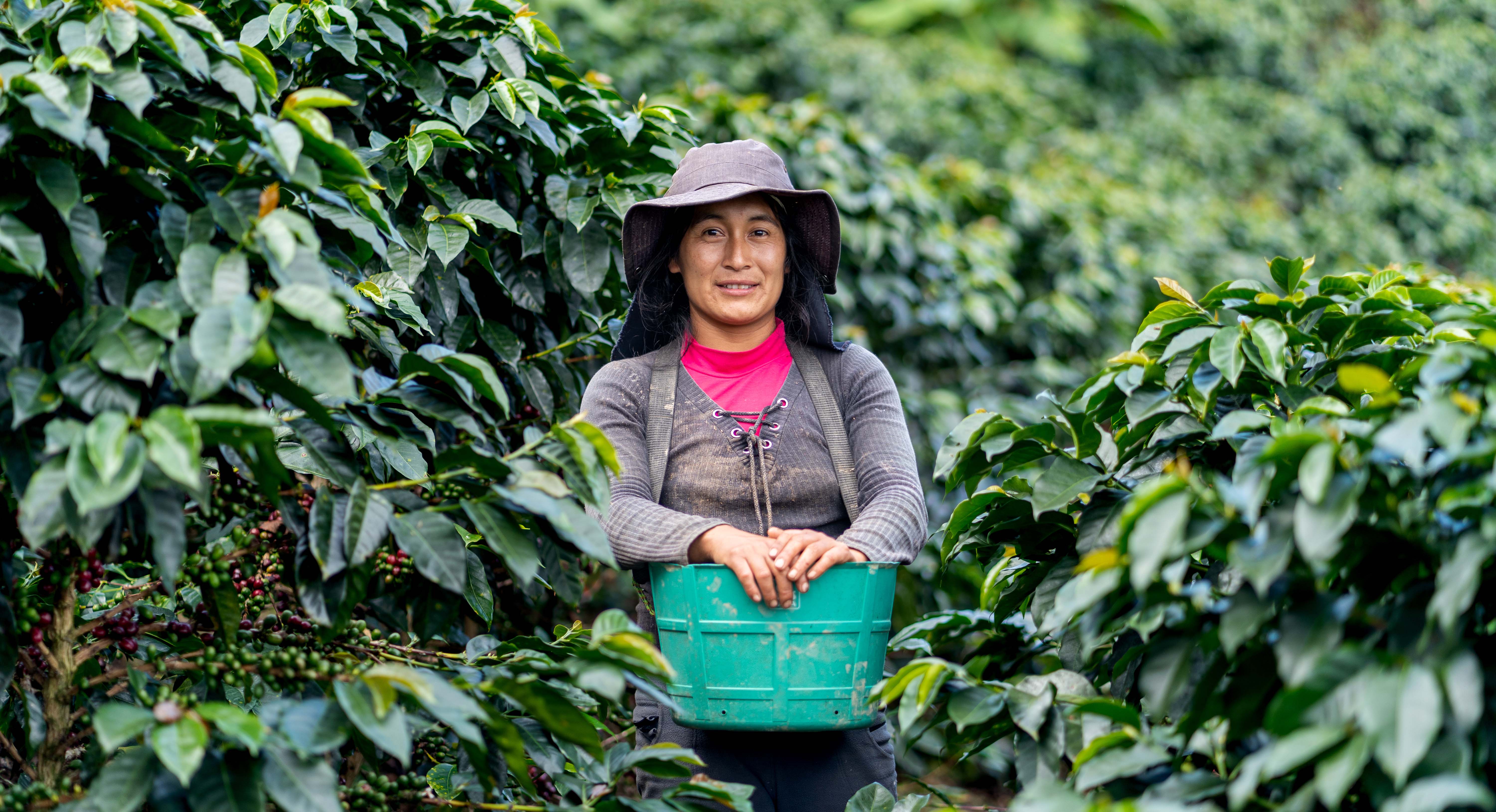 Want to Combat Climate Change and Support Peruvian Farmers? Brew a Cup