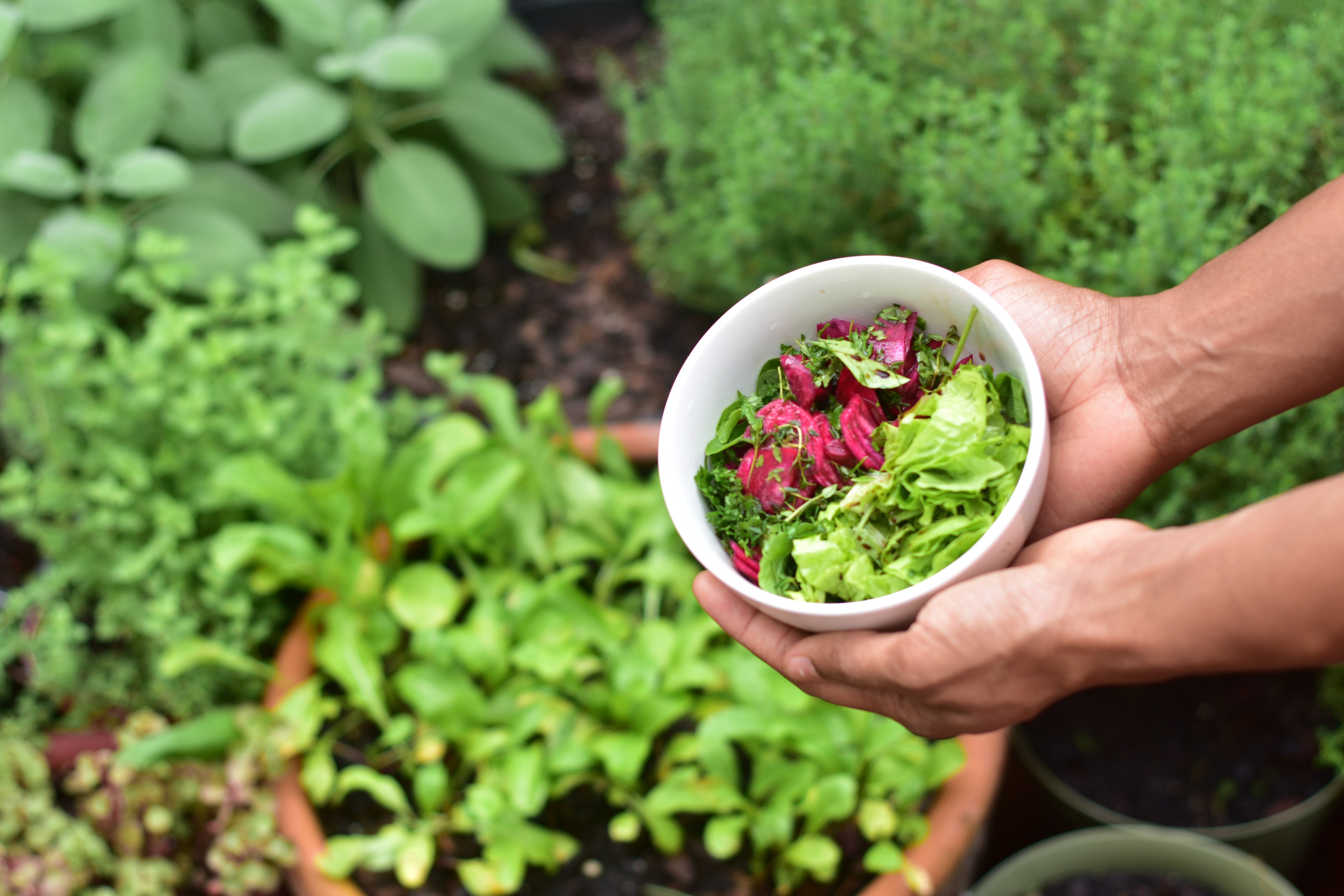 gardening