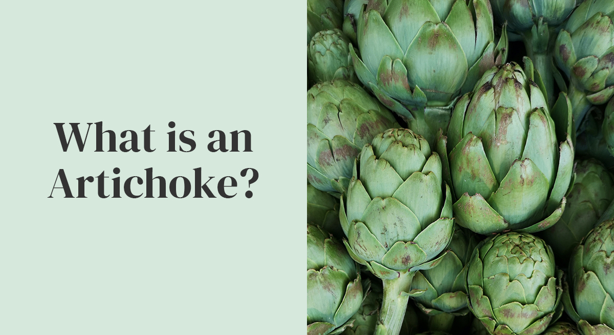What are the Nutrition Benefits of Artichokes? Thrive Market